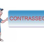 prestashop product 1648 image 14489