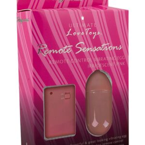OVULO VIBRANTE "REMOTE SENSATIONS" VIOLA - immagine 1