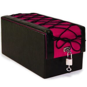 SCATOLA PORTA ACCESSORI DEVINE TOYS ROSA - immagine 1
