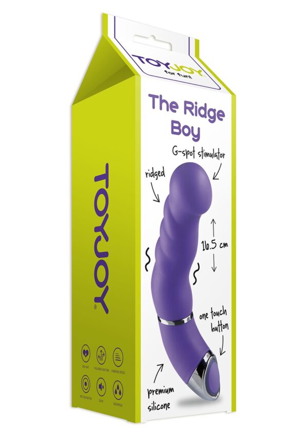 VIBRATORE HI-TECH ANATOMICO "THE RIDGE BOY" VIOLA - 17 CM 2 prestashop product 4342 image 20367