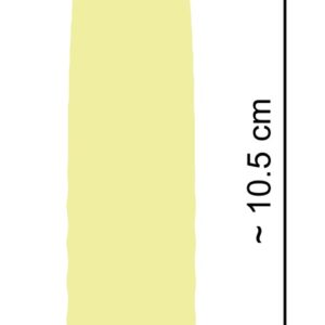 MINI VIBRATORE CUTIES -IL CANARINO - immagine 10