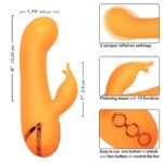CALEXOTICS - MONTECITO MUSE VIBRATORE RABBIT ORANGE BY CALIFORNIA DREAMING - immagine 7