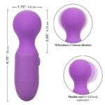 CALEXOTICS - FIRST TIME MASSAGGIATORE RICARICABILE 10 VIBRAZIONI VIOLA - immagine 8