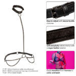 CALEXOTICS - EUPHORIA COLLARE A CATENA E GUINZAGLIO - immagine 3