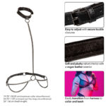 CALEXOTICS - EUPHORIA COLLARE A CATENA E GUINZAGLIO TAGLIA PI? GRANDE - immagine 5
