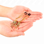 KINK - PINZE PER CAPEzzoli PENDENTI COBRA 6 CM - immagine 3