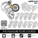 ADDICTED TOYS LOCKED - GABBIA PER PENE IN METALLO CON BLOCCAGGIO ARGENTO TAGLIA S - immagine 7