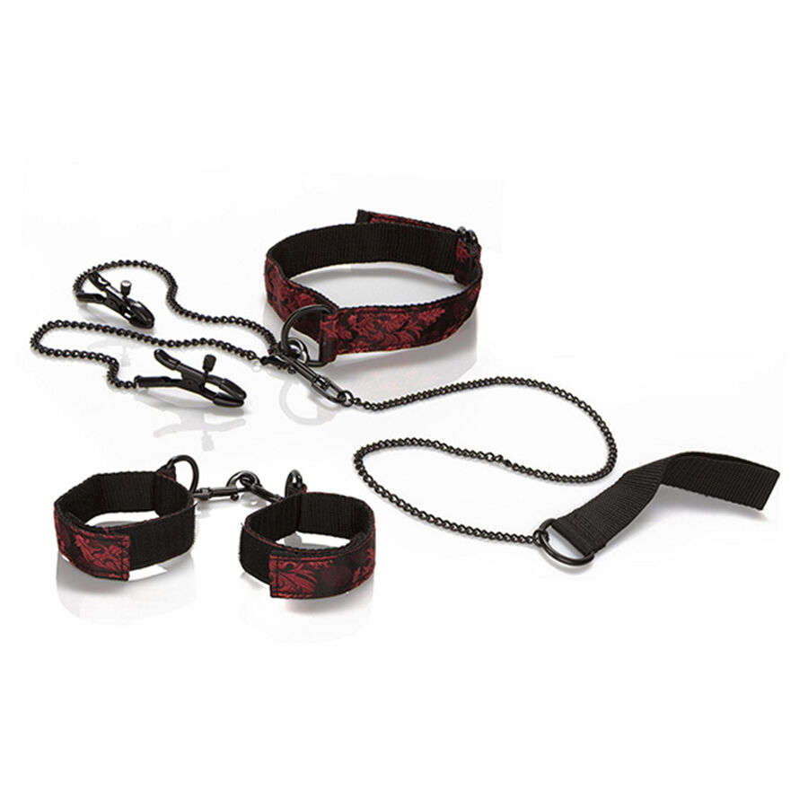 img_208205_faf106c725c18a4ededf738b5a62fb76_1.jpg CALEXOTICS - SCANDAL KIT PER LA PRESENTAZIONE - immagine 1