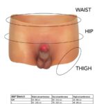 DESIDERIO NASCOSTO - ALTER EGO BOXERSHOT CON PENE 18 CM TAGLIA L - immagine 5